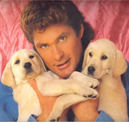 David-Hasselhoff1